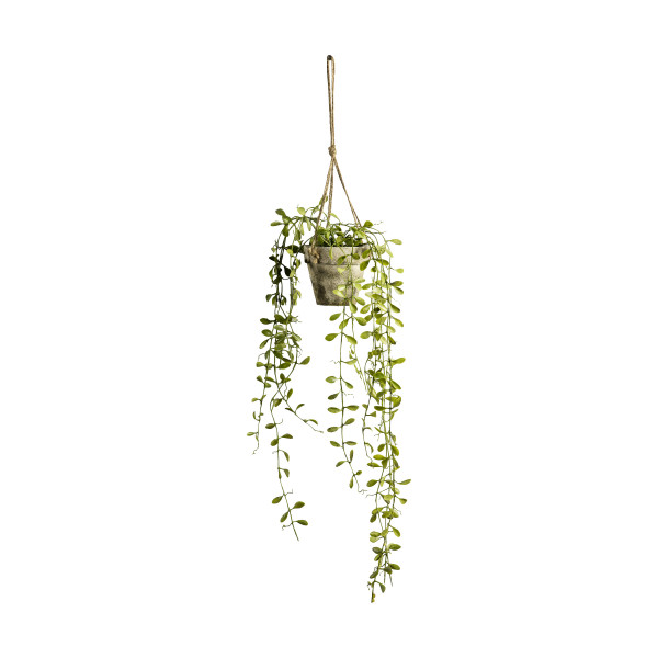Hanging Boxwood with Rustic Pot 